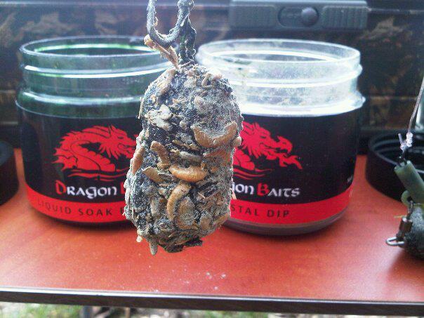 Ma passion !!! - 164267182056635275983985043410n.jpg